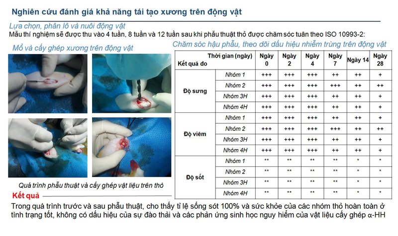 xuong5
