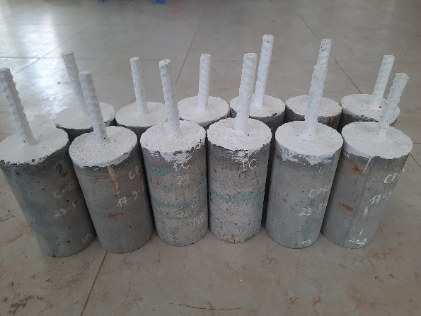 NV-01-Hinh 2 (TPHAM).jpg