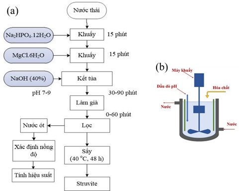 NV-09-Hinh 2.jpg