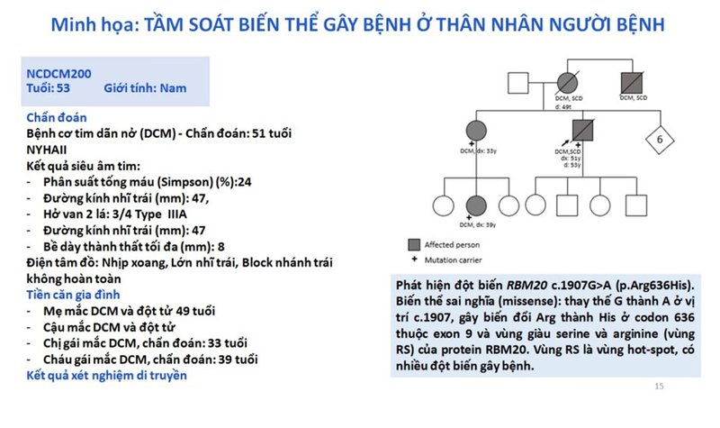 tim3